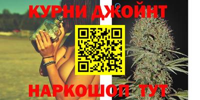 гидра Рузаевка