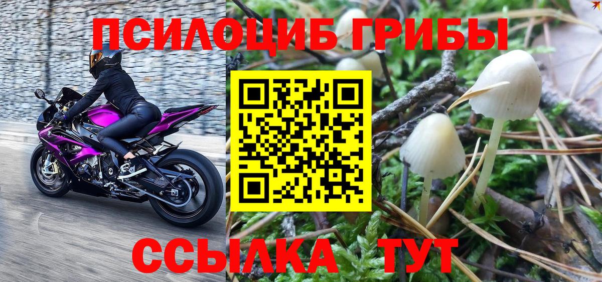 Галлюциногенные грибы ЛСД Санкт-Петербург
