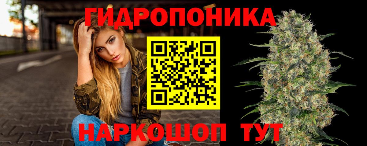 Бошки Шишки White Widow  Бошки Шишки конопля  Вход с VPN  Конопля OG Kush  Санкт-Петербург  Марихуана ГИДРОПОН 
